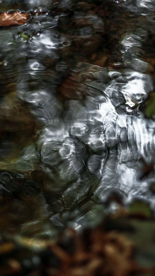 Spiritual Development Classes